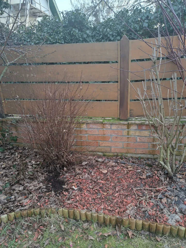 Edit előtte Eredetileg pár cserje keretezte a kertet