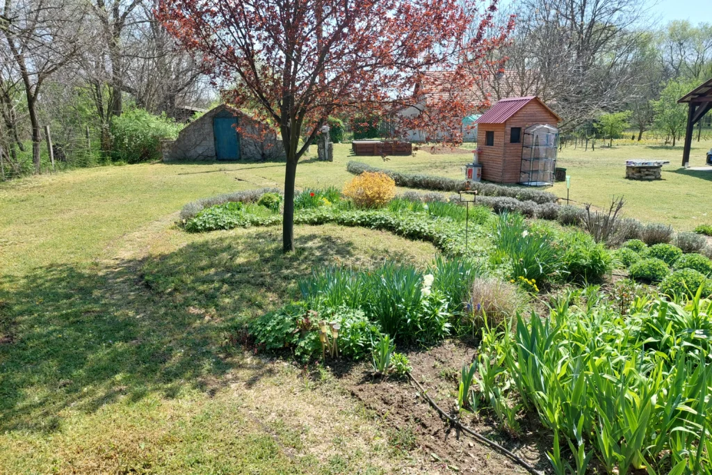 Verszilva Szárazságtűrő növények választása